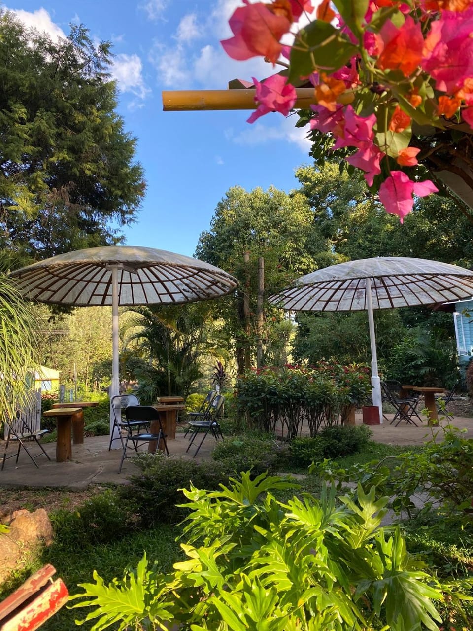 Halli Berri Cottages Vacation rental in Karnataka