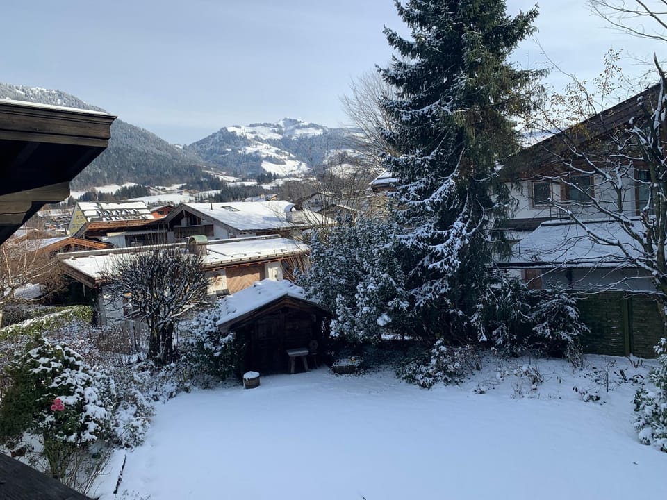 Winter, Mountain view