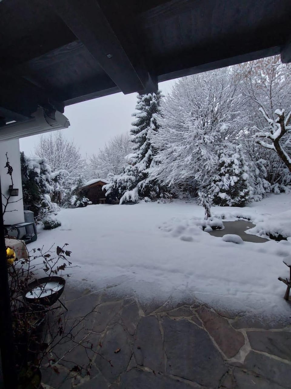 Natural landscape, Winter