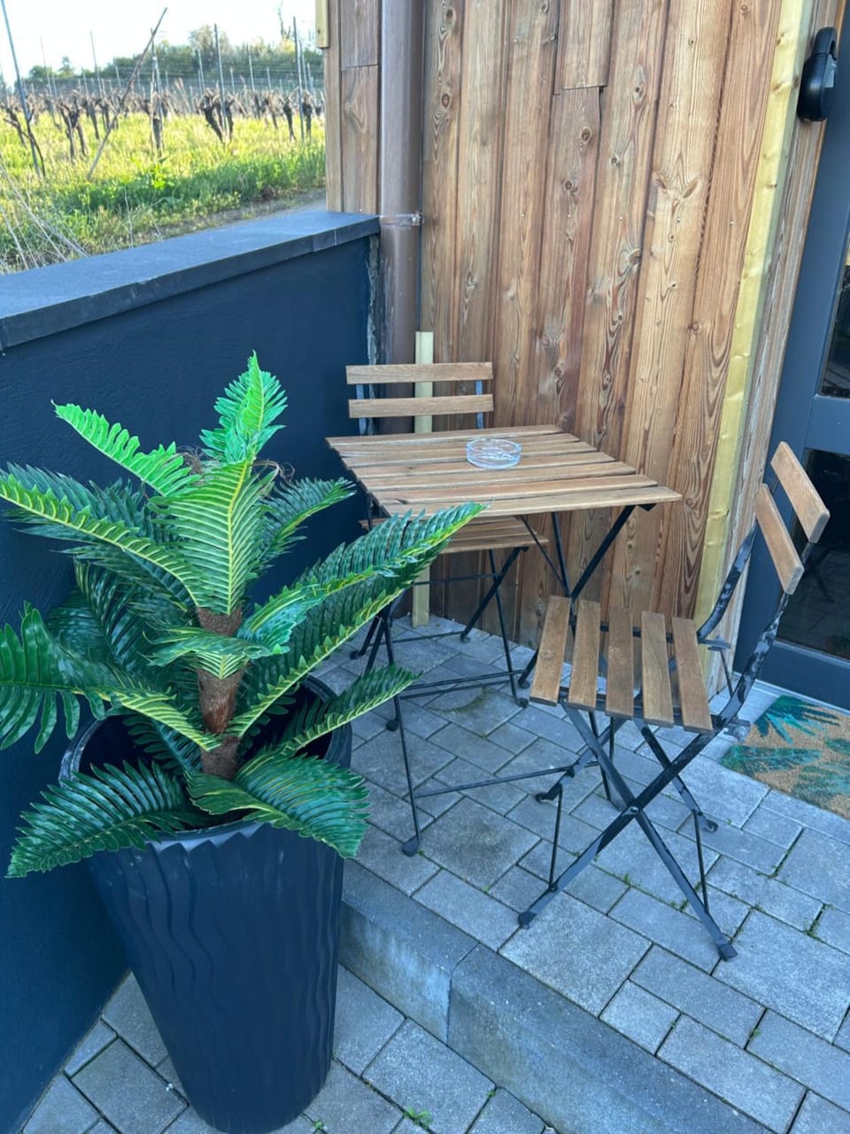 Suite LIANA - SPA- SAUNA House in Ribeauvillé
