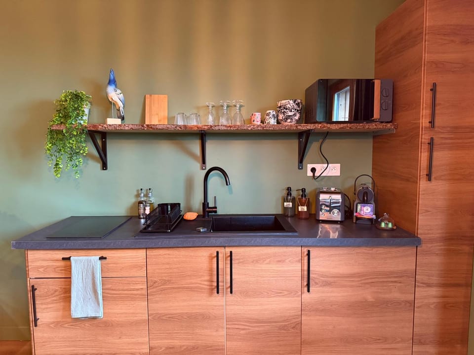 Coffee/tea facilities, Kitchen or kitchenette, stove