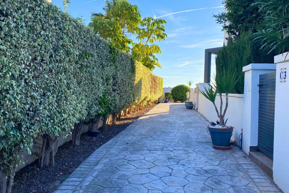 Day, Garden, Garden view