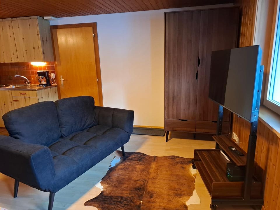 TV and multimedia, Seating area, Evening entertainment