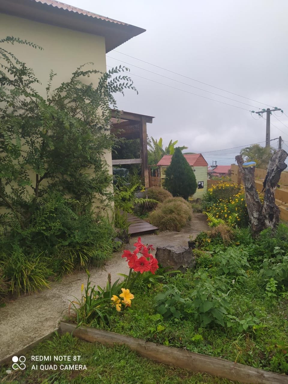 Garden view