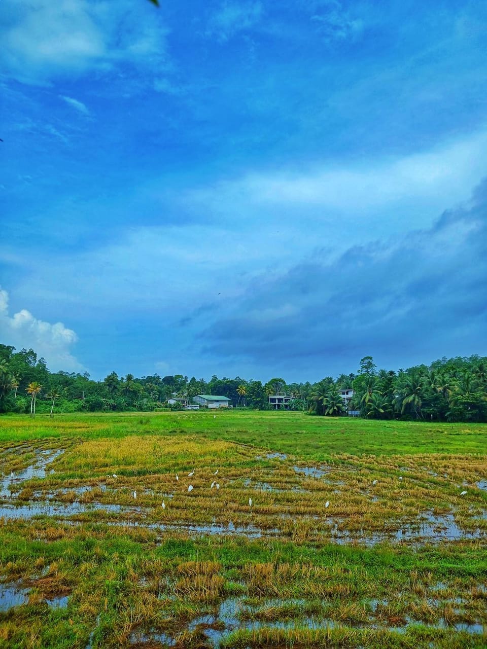 Natural landscape