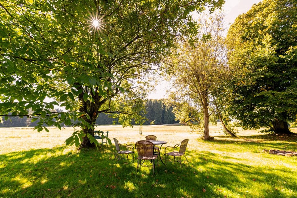 Garden, Garden, Garden view