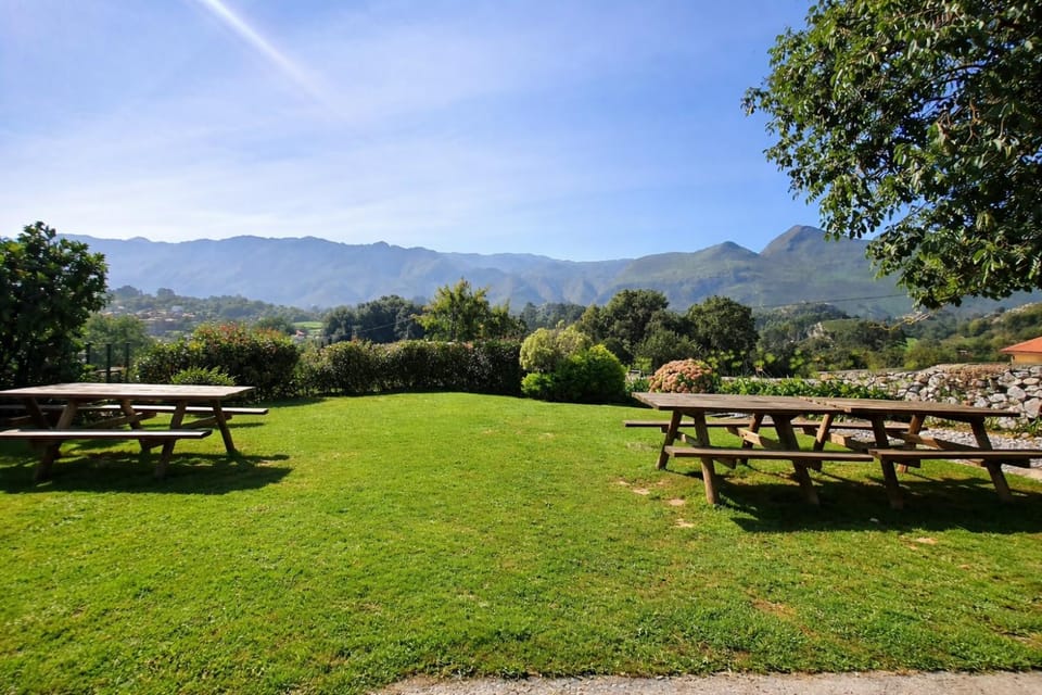 Bird's eye view, BBQ facilities, Garden, Dining area, City view
