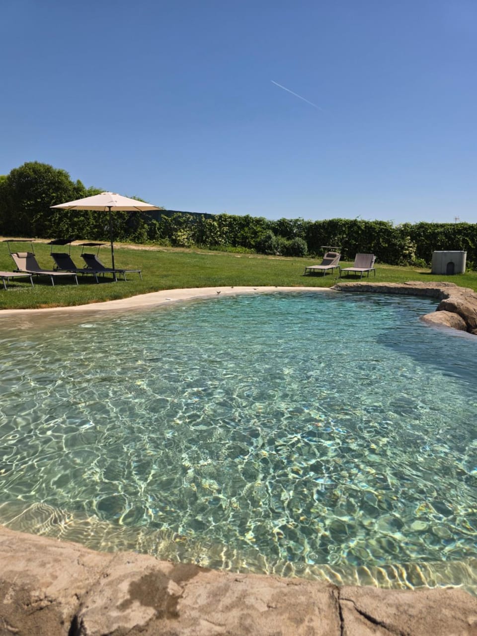 Natural landscape, Garden, Garden view, Garden view, Pool view, Pool view, Swimming pool, group of guests, group of guests, sunbed