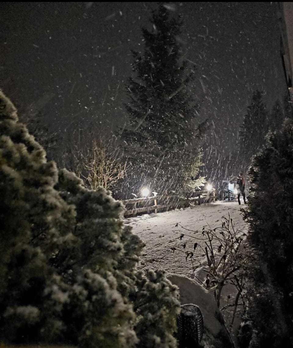 Winter