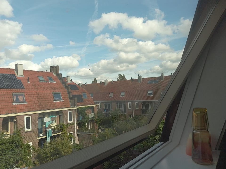 View (from property/room)