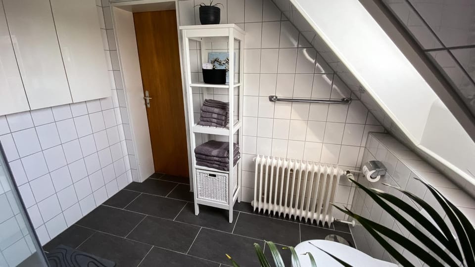 Shower, Toilet, Bathroom, towels