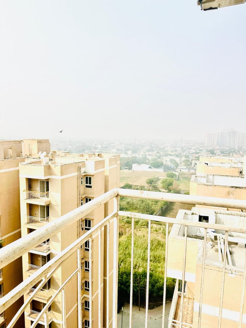 Casa Solis, 1 BHK Apartment, House of the Sun Apartment in Haryana