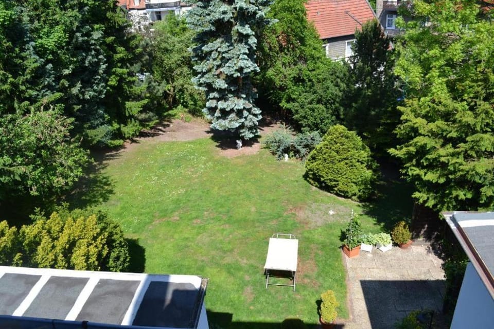 Spring, Day, Natural landscape, Garden, Garden view