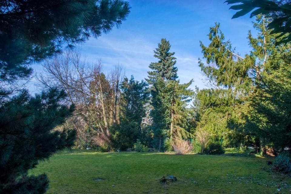 Spring, Day, Natural landscape, Garden, Garden view