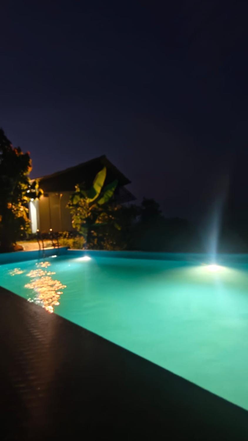 Night, Pool view, Swimming pool