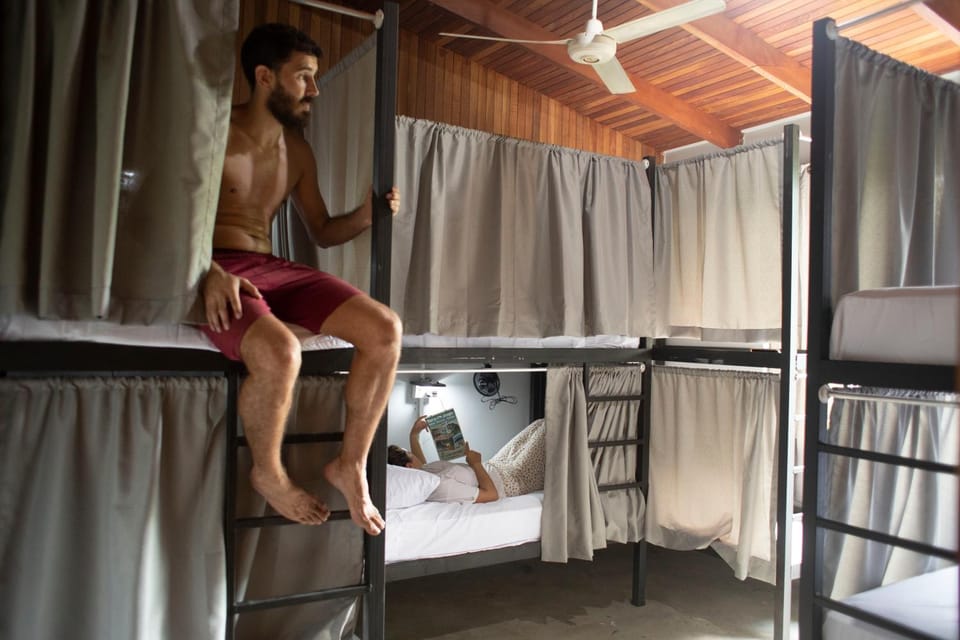 Bed, Guests, Guests
