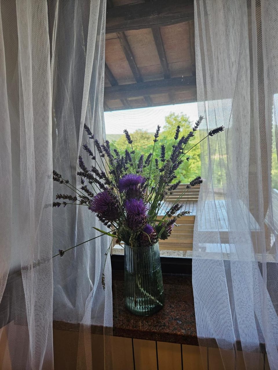 Garden view