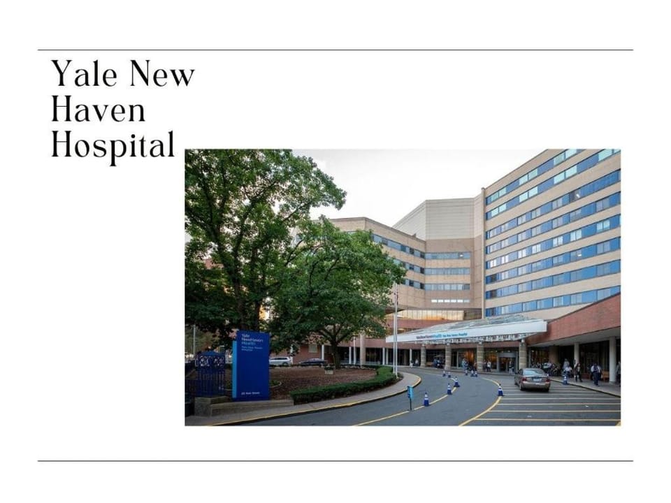 DTWN Yale Wooster Square Laundry Apartment in New Haven