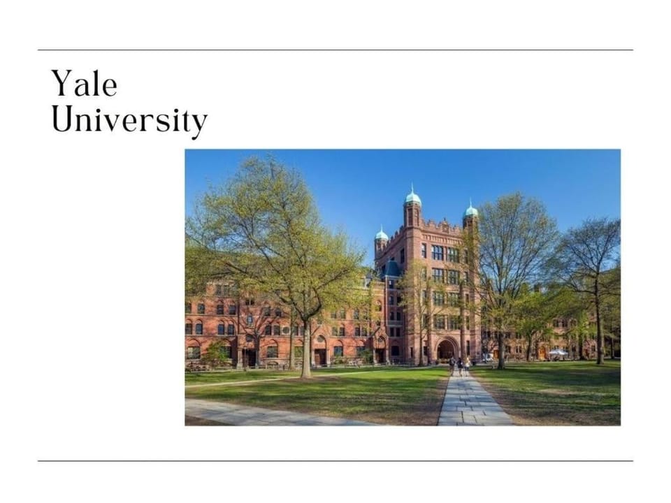 DTWN Yale Wooster Square Laundry Apartment in New Haven