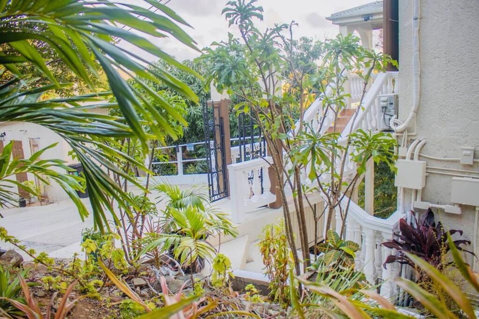 Day, Garden view