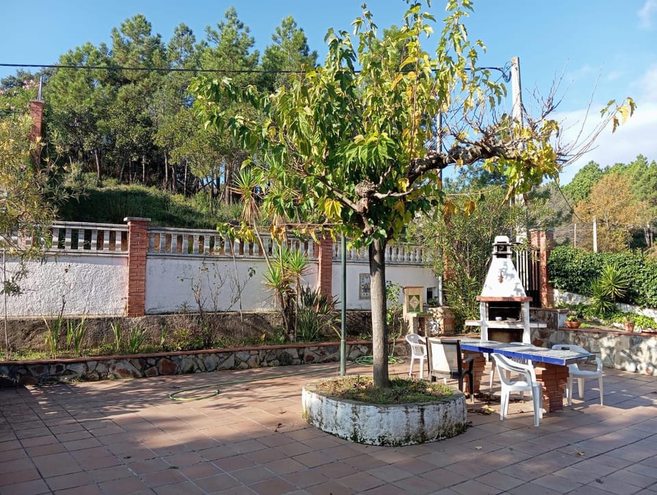Patio, BBQ facilities