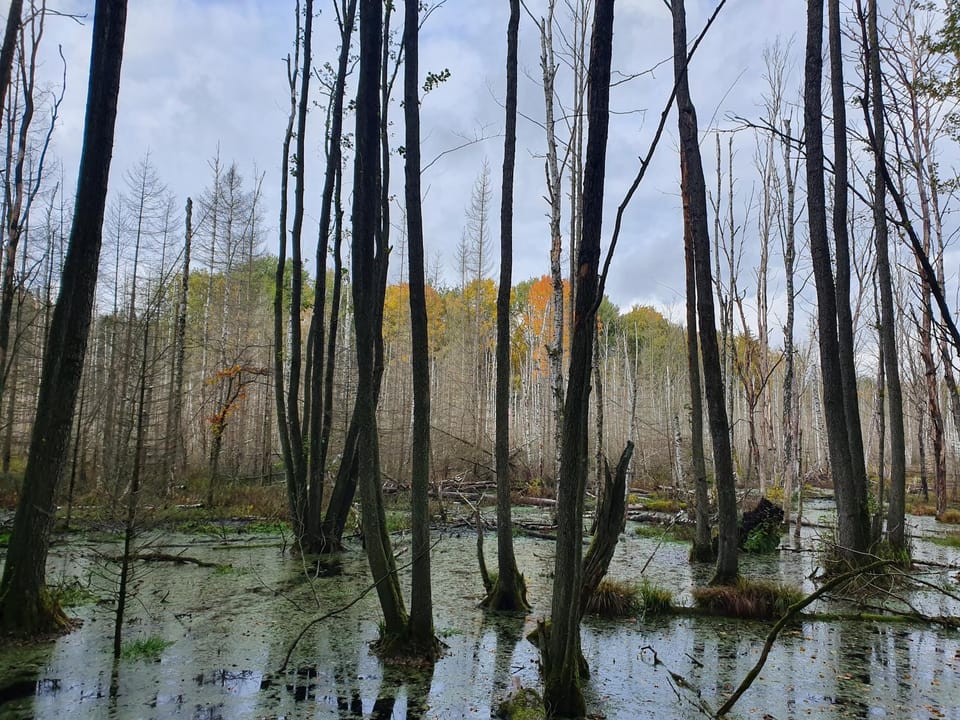 Zaciszne SPA House in West Pomeranian Voivodeship, Poland