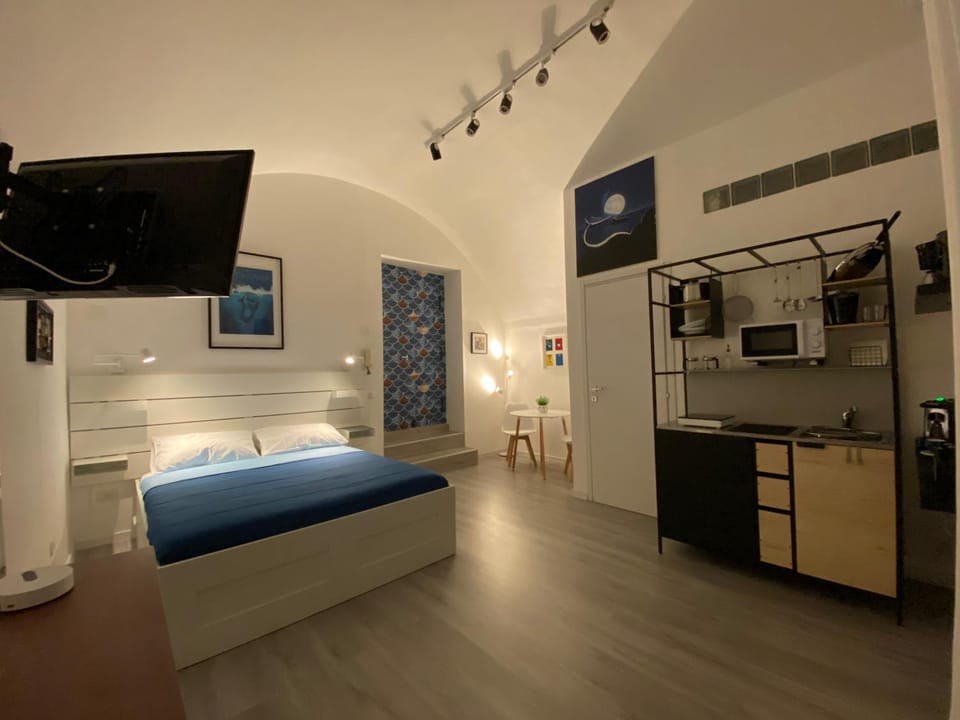 Bed, TV and multimedia, Kitchen or kitchenette, Photo of the whole room, Bedroom, oven