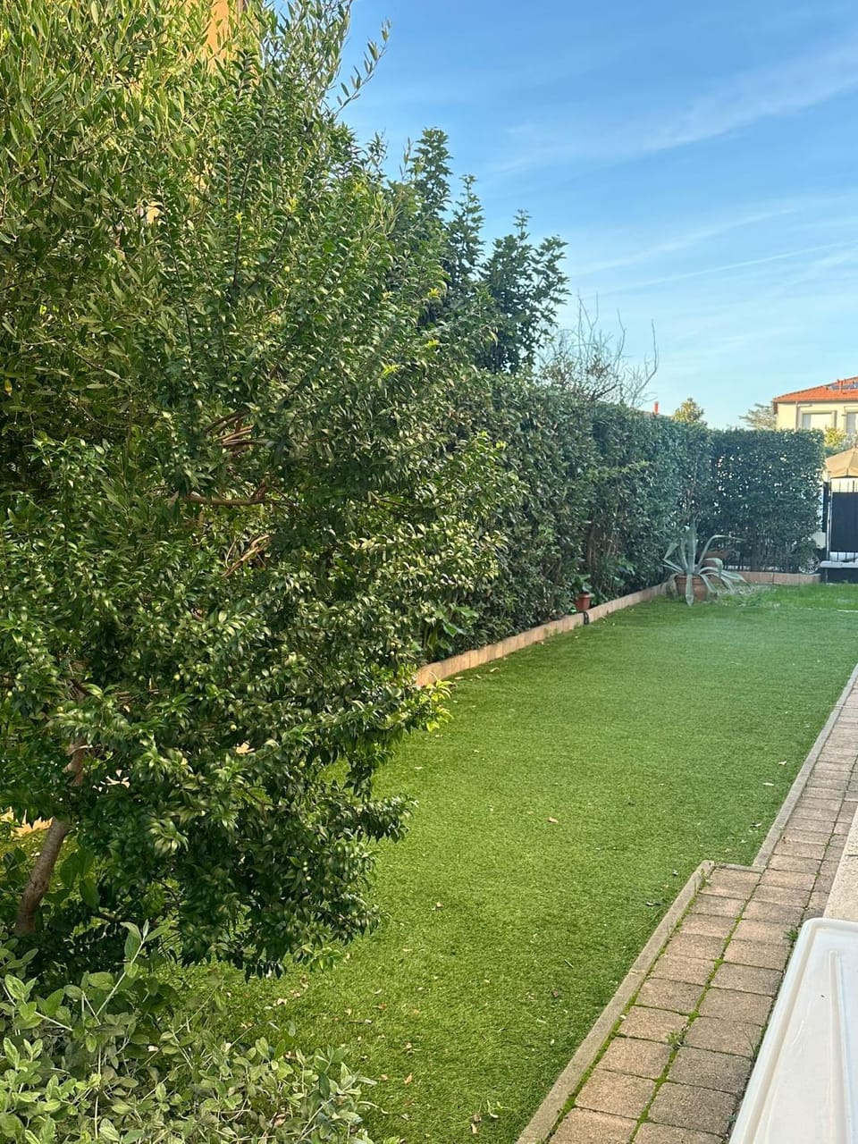 Garden, Inner courtyard view