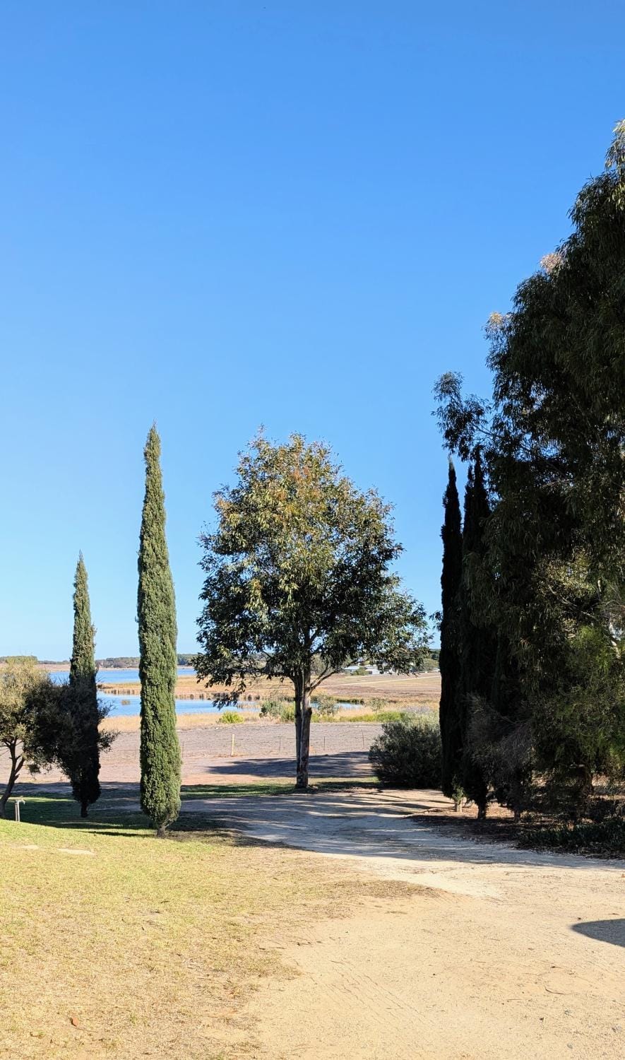Natural landscape