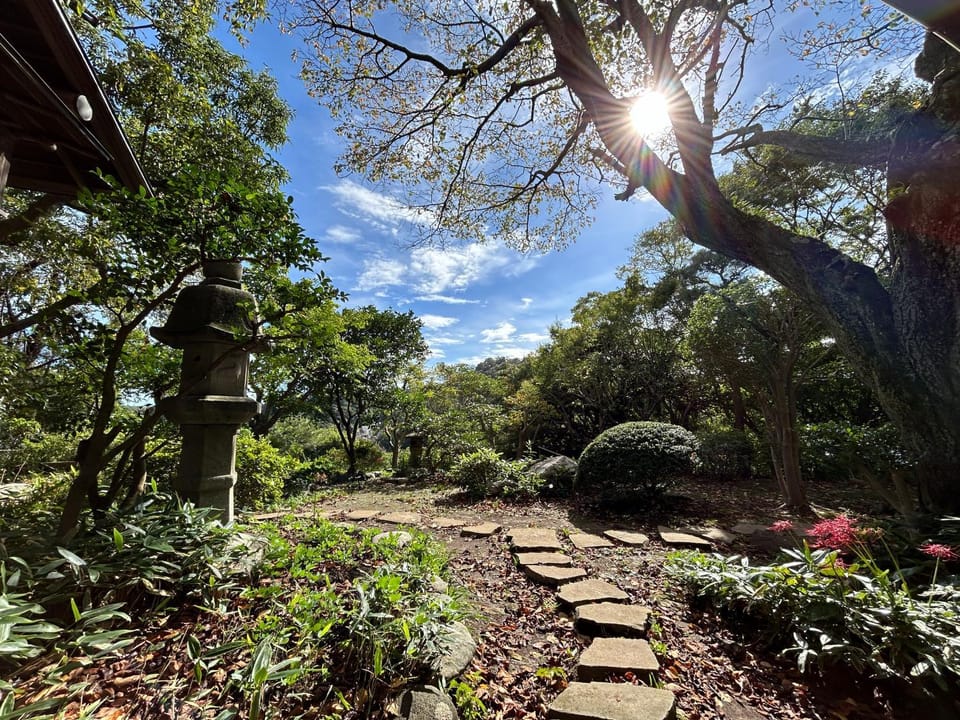 Day, Natural landscape, Garden, Garden, Garden view