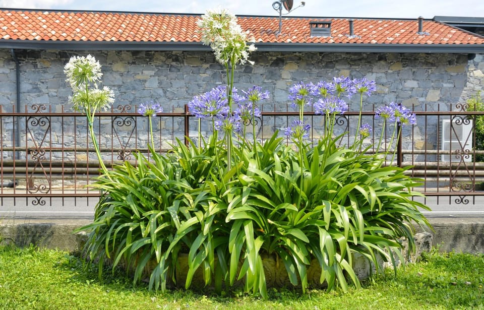 Casa Giardino fiorito Apartment in Province of Lecco