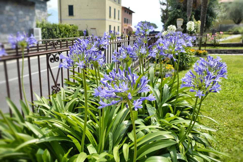 Casa Giardino fiorito Apartment in Province of Lecco