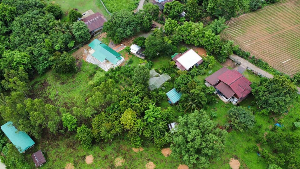 Natural landscape, Garden view