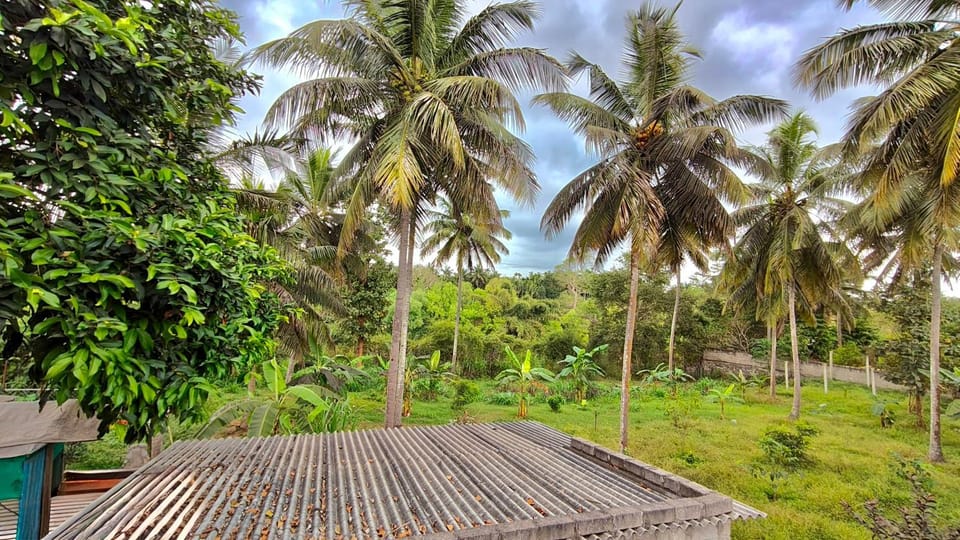 Day, Natural landscape, Garden