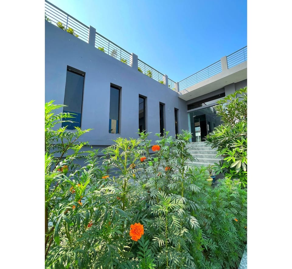 Property building, Day