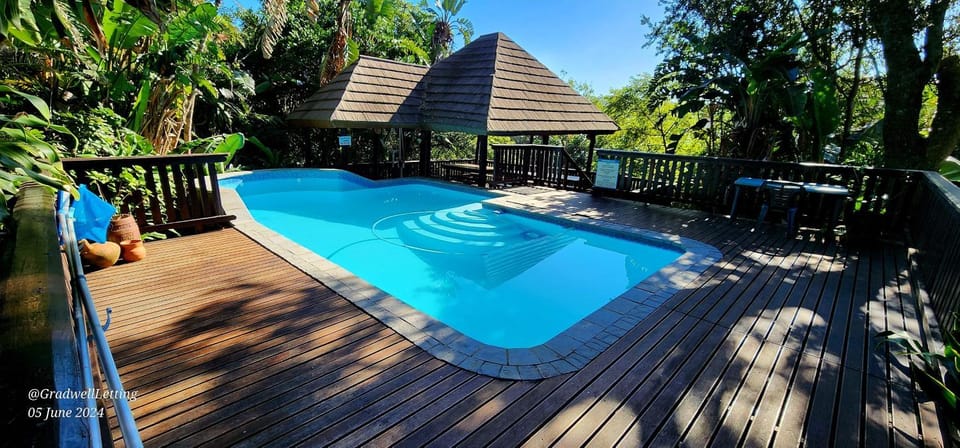 Day, Pool view, Swimming pool