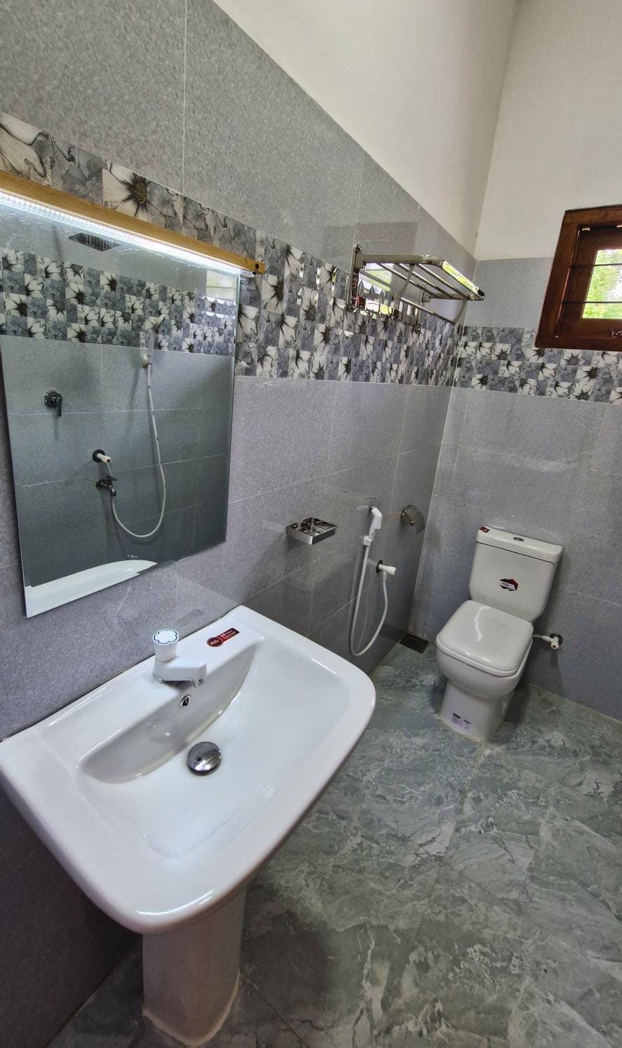 Shower, Toilet, Bathroom, bidet