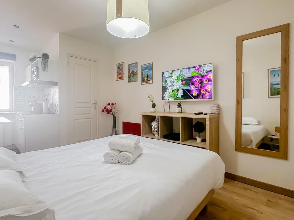 Canopee rue Carnot Annecy Apartment in Annecy