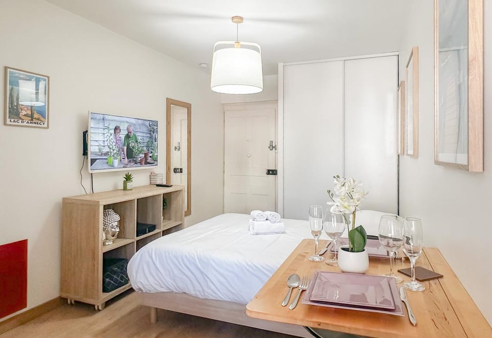 Canopee rue Carnot Annecy Apartment in Annecy