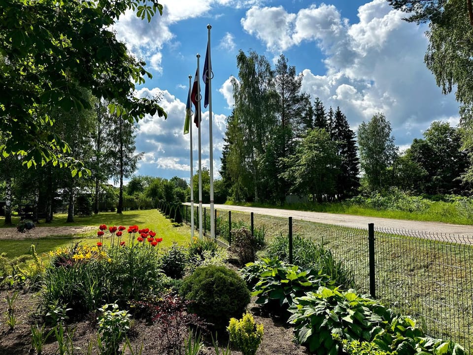 Day, Garden, Garden view