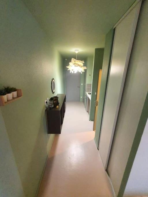 L'Orée du Parc, Lyon 6 - Parc Tête d'Or Apartment in Villeurbanne