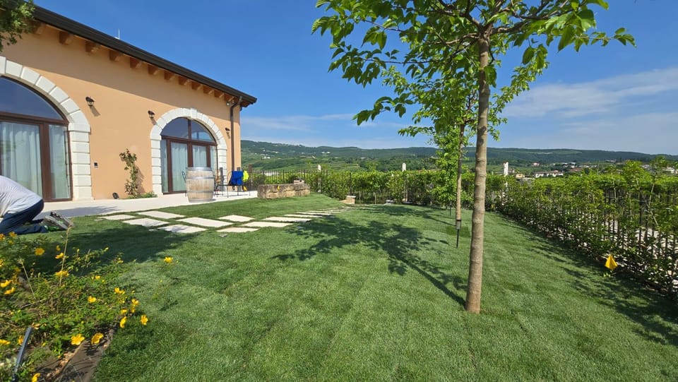 Property building, Garden, Garden view