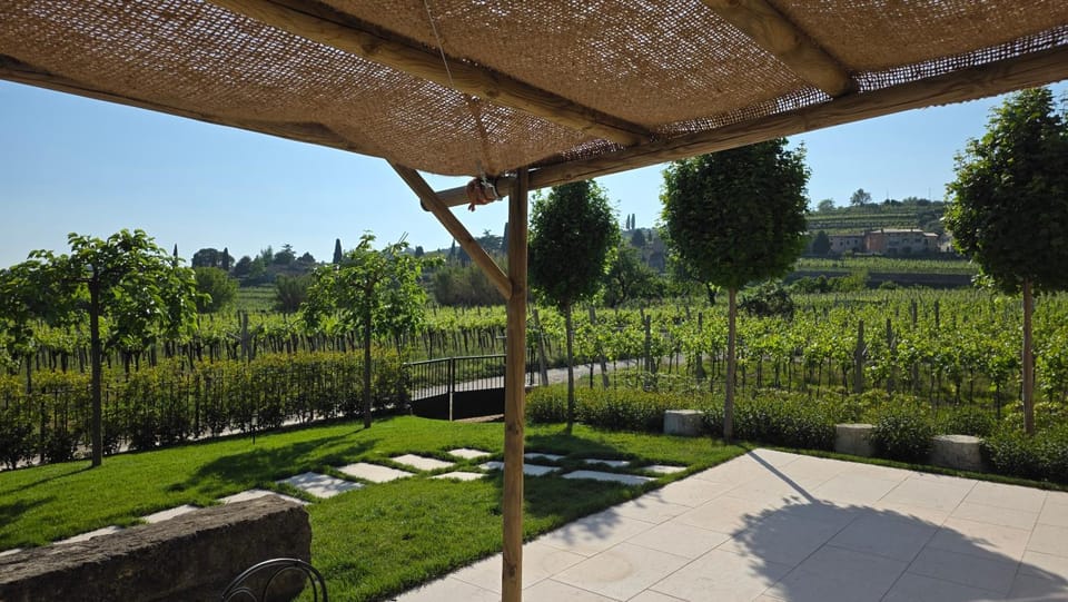Property building, Patio, Garden