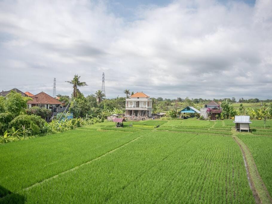 Natural landscape, Garden view