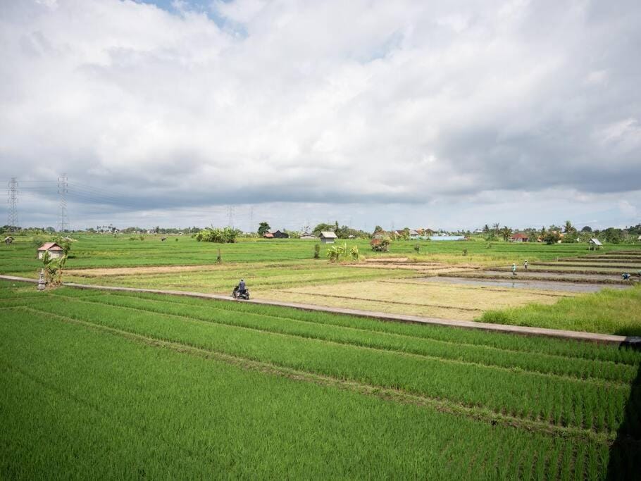 Natural landscape