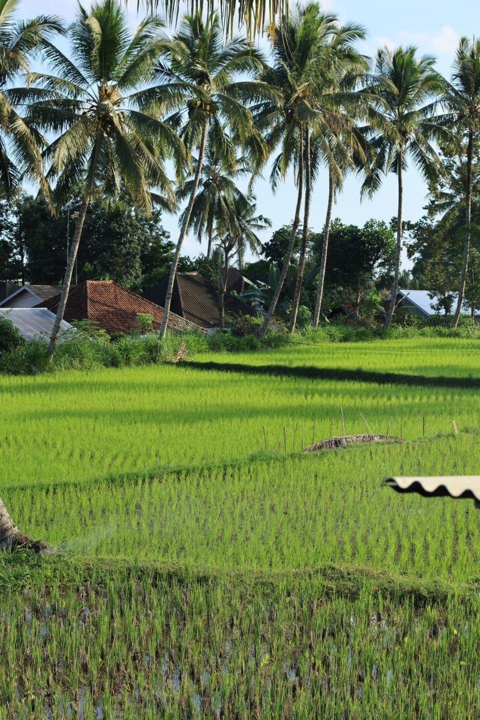 Rice Field inn - Lombok Vacation rental in West Nusa Tenggara, Indonesia