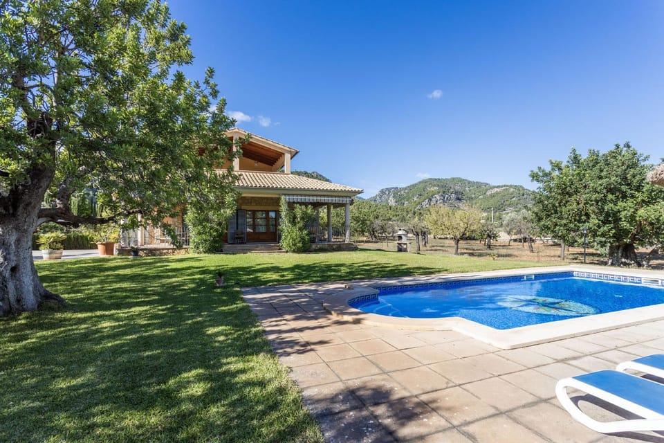 Patio, Garden, Garden view