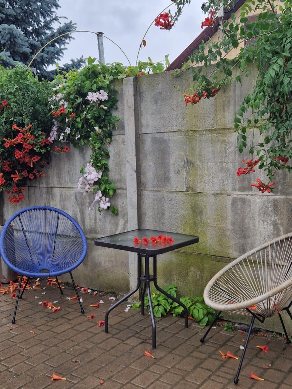 Garden, View (from property/room), Seating area, Garden view, Inner courtyard view