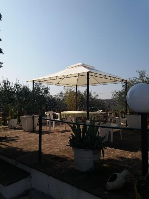 Trulli di Mastro Ciccio Apartment in Province of Taranto