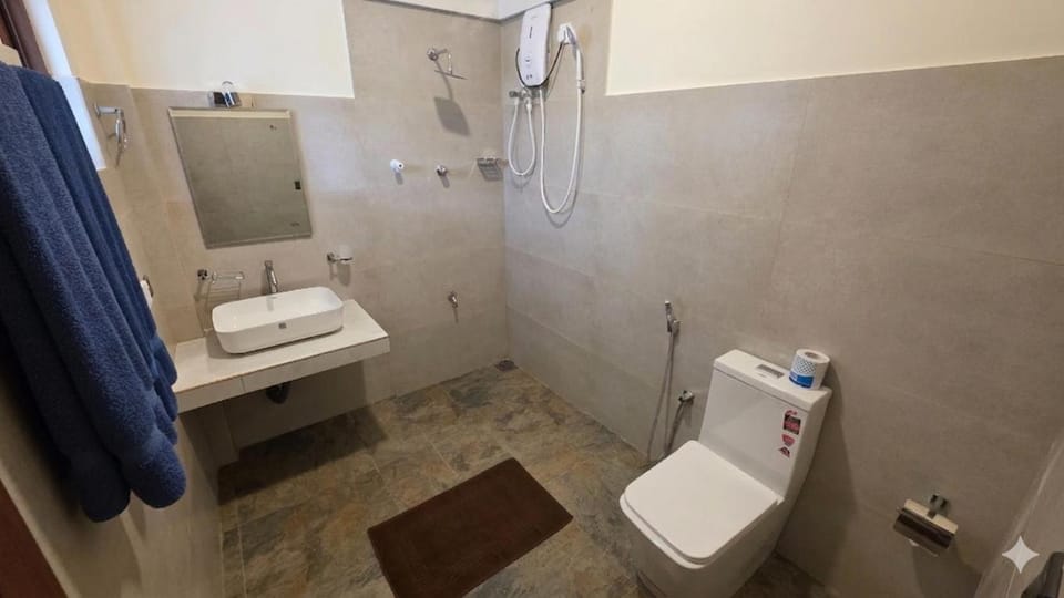 Toilet, Bathroom, bidet